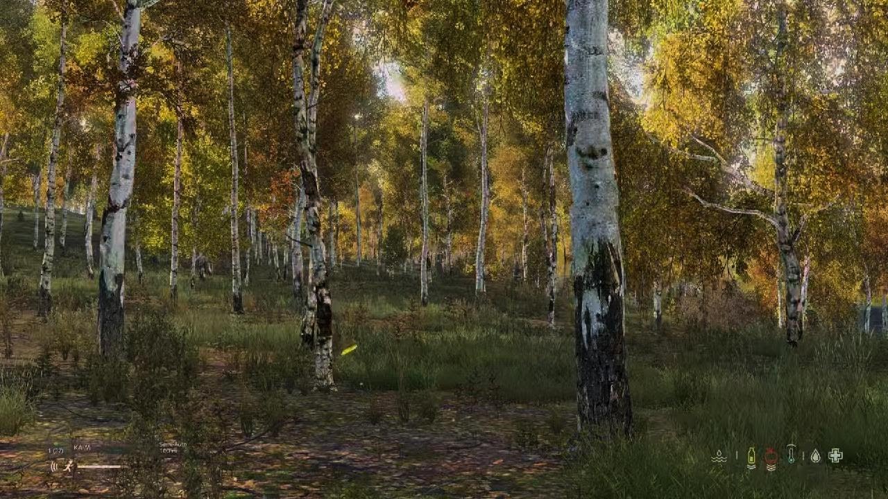 DayZ_20260215154702