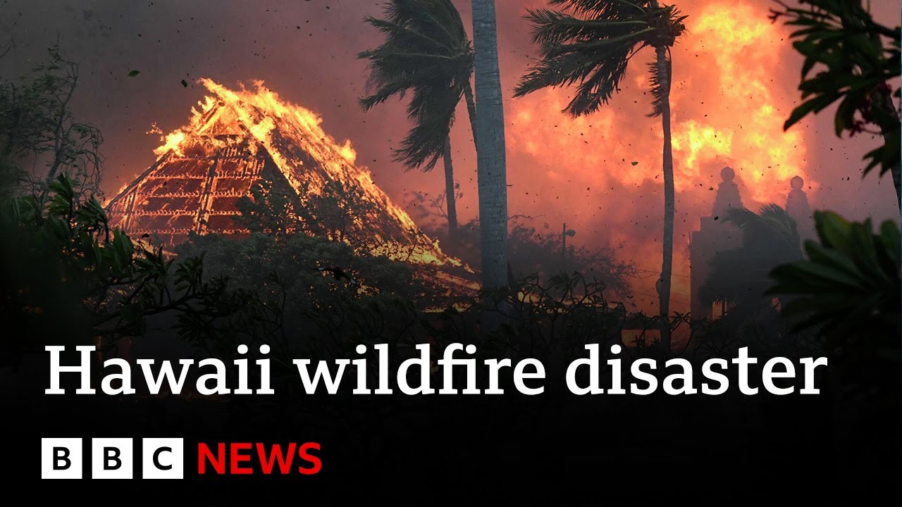 Hawaii deadly wildfires cause catastrophic damage - BBC News