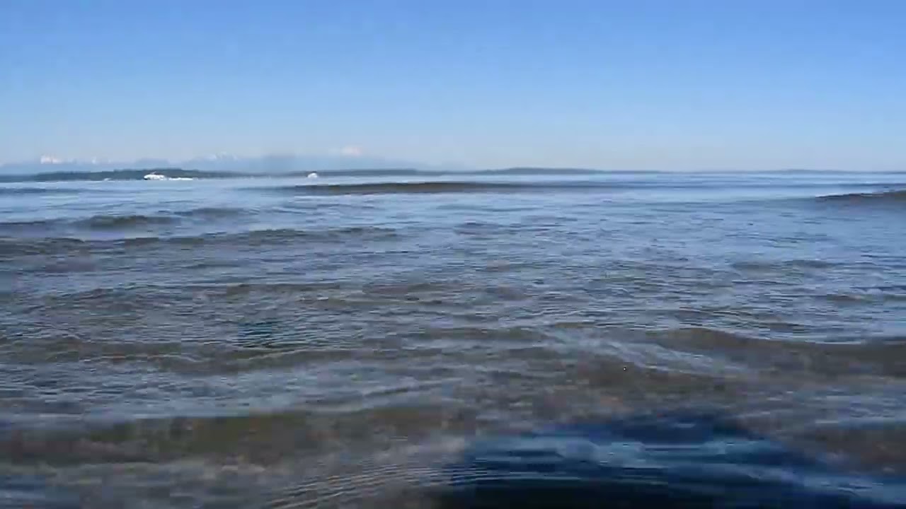 About a Minute of Zen from Alki Beach West Seattle