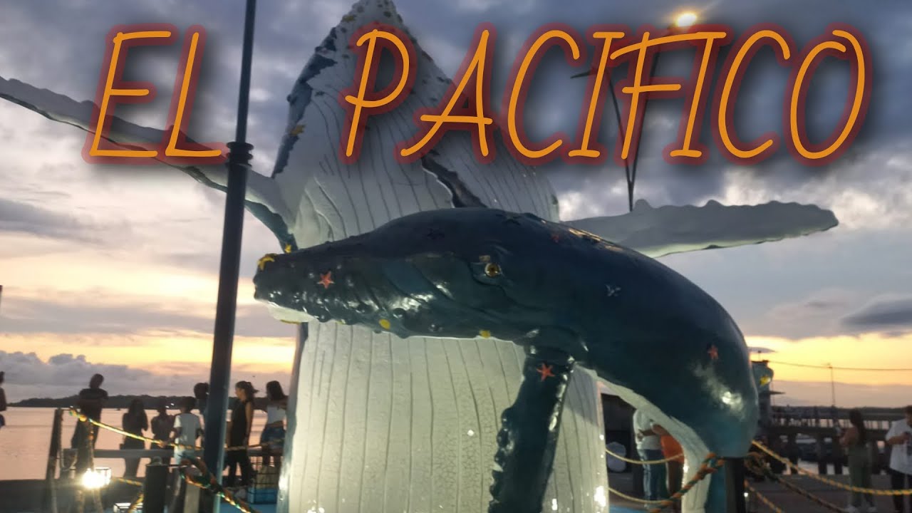 🔥EL PACIFICO COLOMBIANO🐳 playa la barra BARATO ‼️costos‼️ ✅ ¿Cómo llegar?¿Dónde Alojarse ¿Qué Hacer?