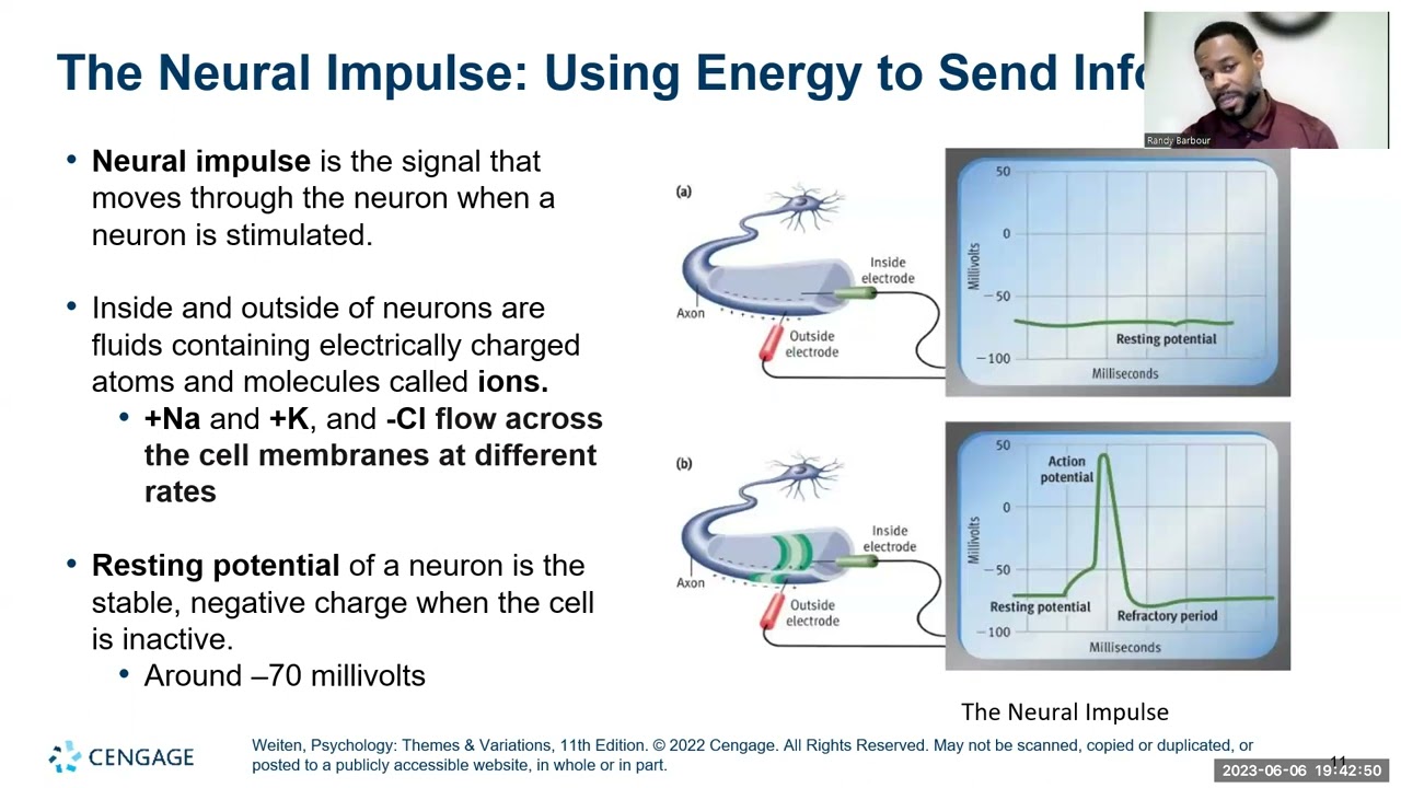 Lecture 3 | Ch.3 Biological Bases of Behavior Part 1 | Dr. Randy Barbour