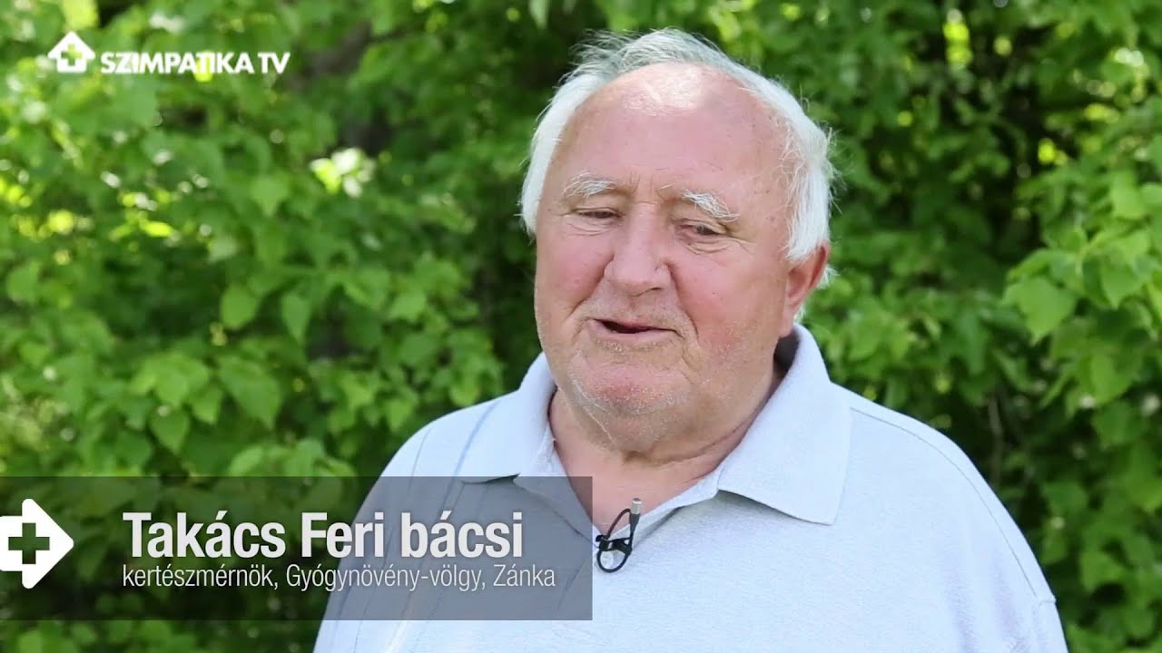 Három csodálatos gyógynövény