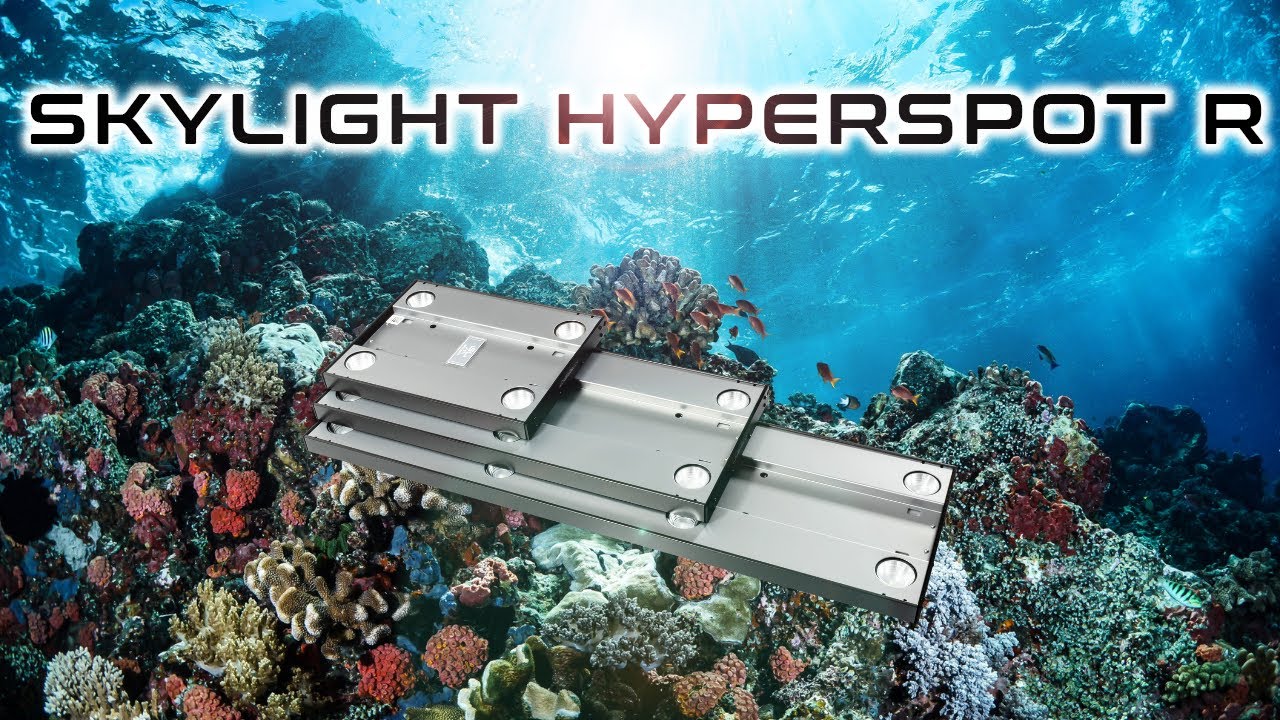 SKYLight HYPERSPOT R S - Lampa Akwariowa Unboxing&Test