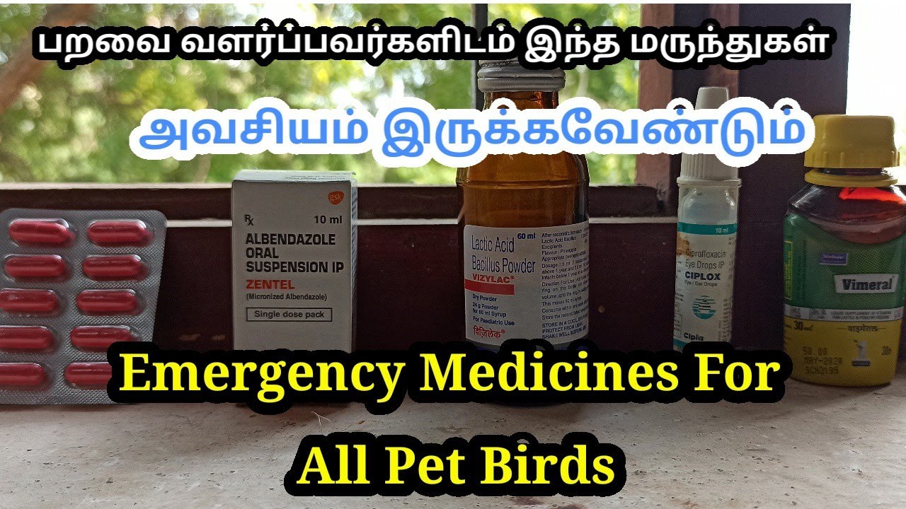 Emergency Medical Kit for All Pet Birds in Tamil || Common Pet Birds Disease Medicines in Tamil