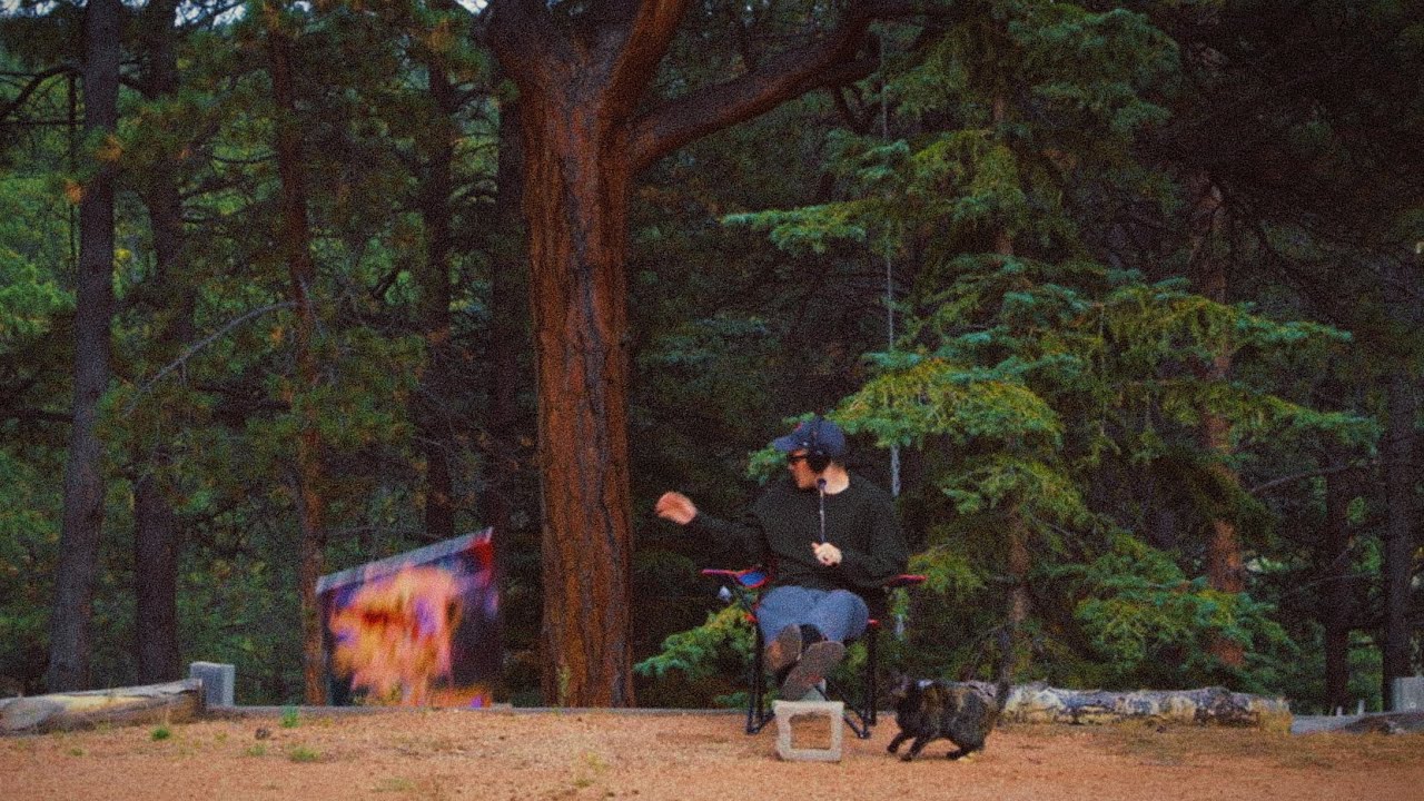The forest tried to steal my art