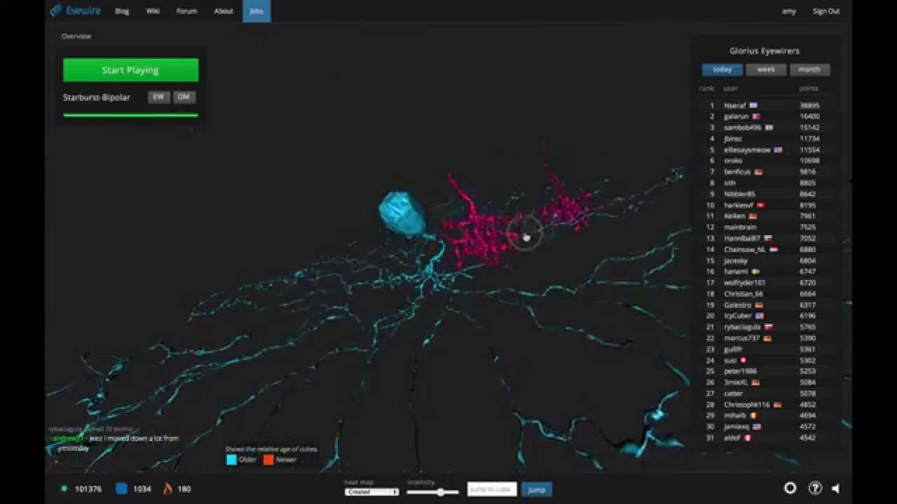View Neuron Circuits in EyeWire