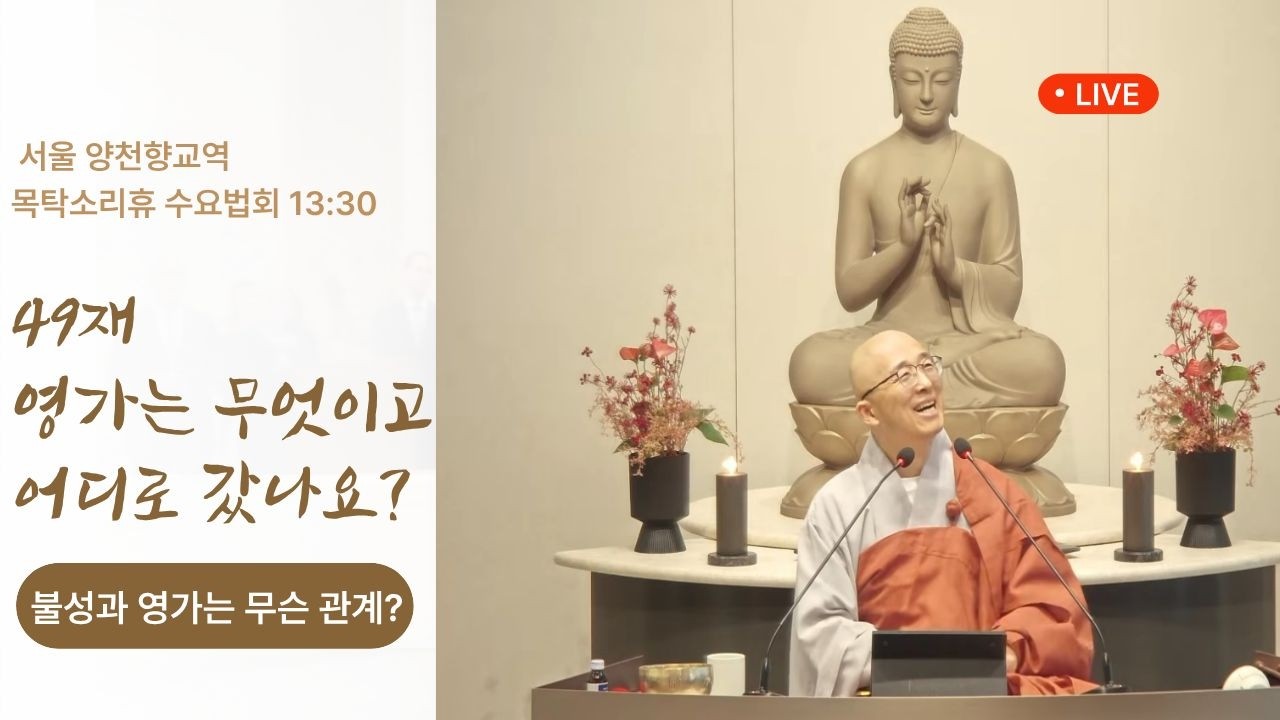 서울 목탁소리휴 수요법회 실시간 법문