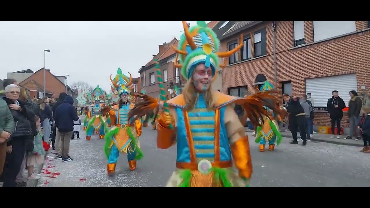 carnaval in Hamme(1) #70