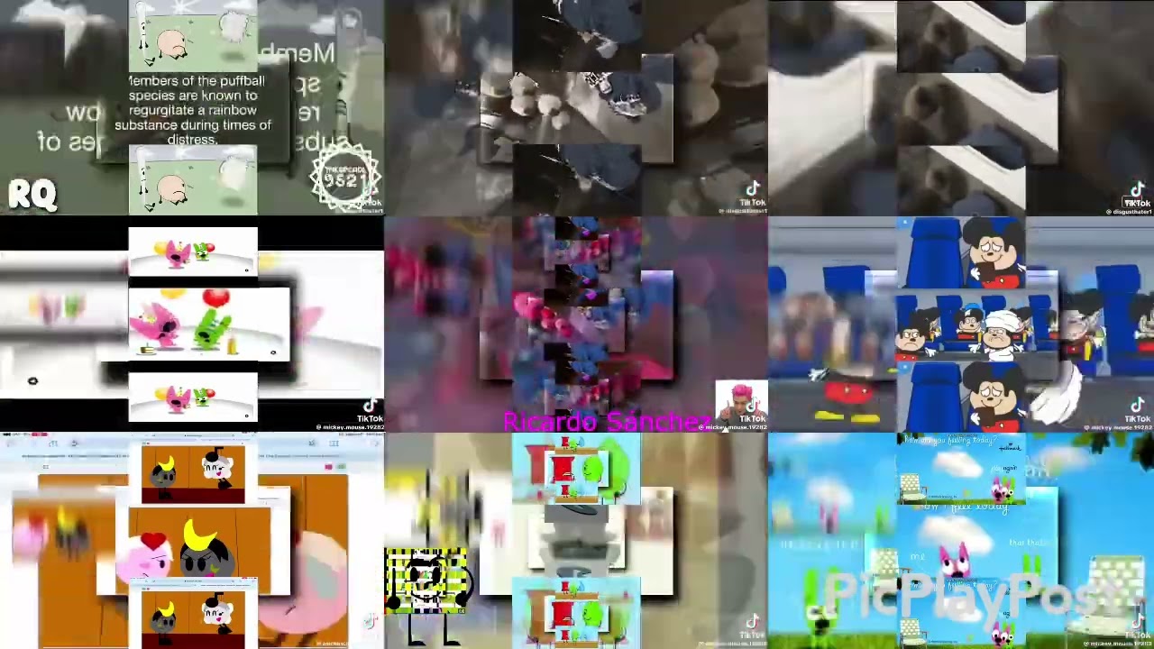 Ytpmv scan nineparison 2