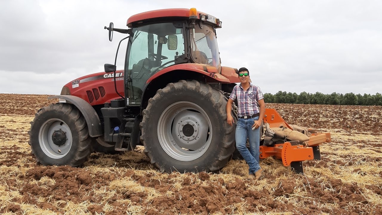 Preparação de Solo para Olival SUPER INTENSIVO🌳🚜