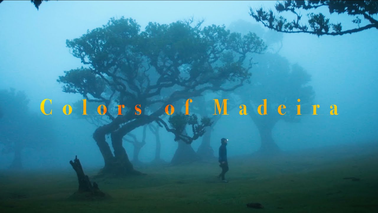 Colors Of Madeira | Shot with Laowa's Nanomorph on a Sony FX3