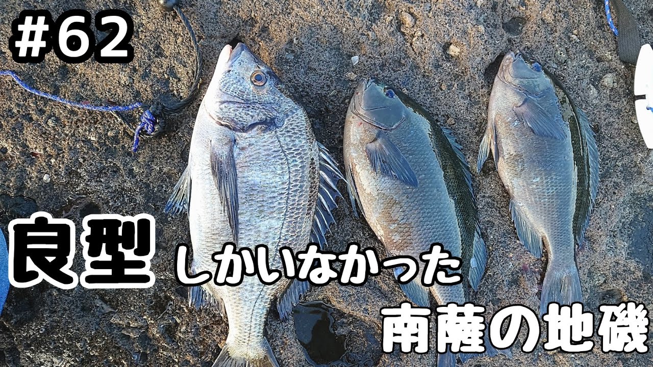 62話　良型グレ、チヌが釣れた南薩の地磯(フカセ釣り)