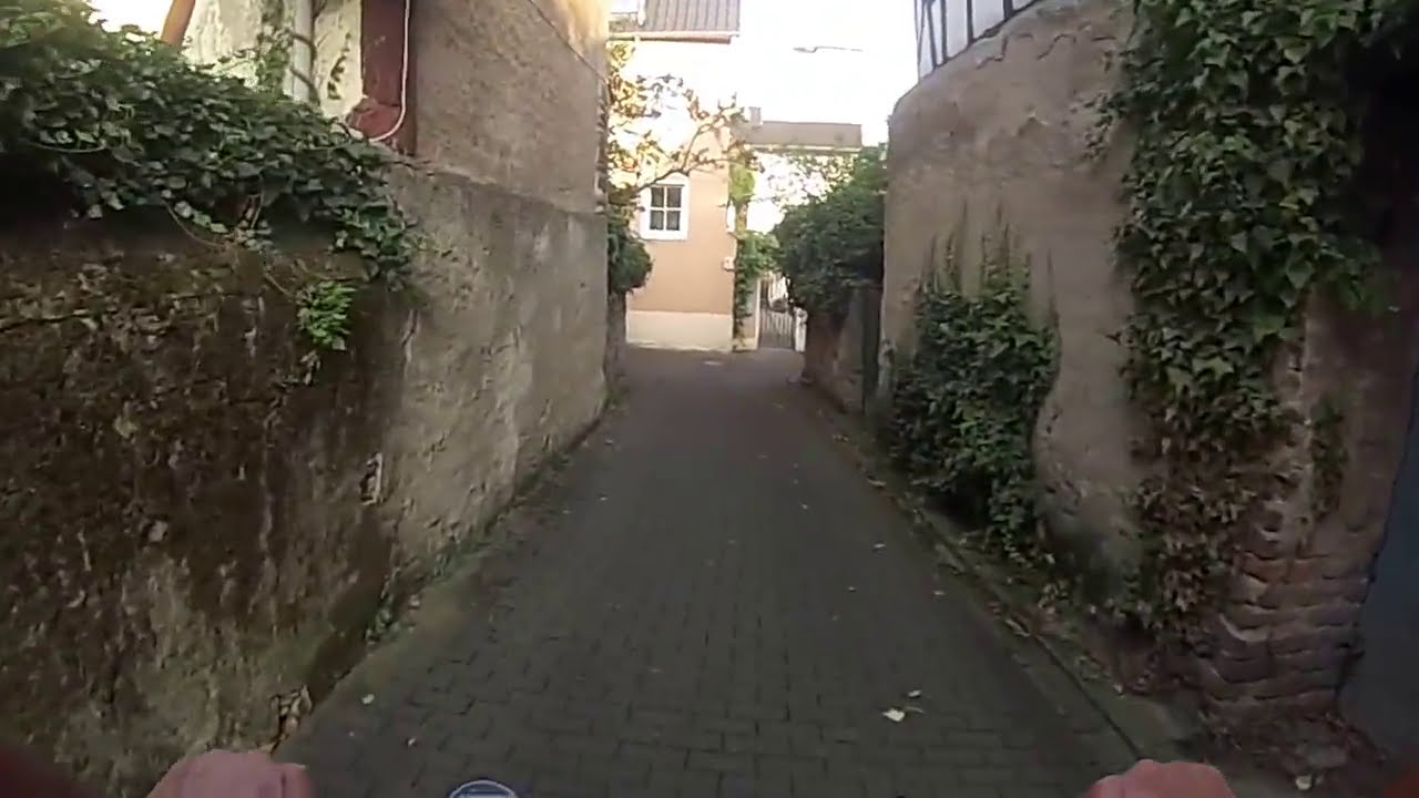 Rhein-MTB-1/7-LEUTESDORF-KULTUR RAD TOUREN.