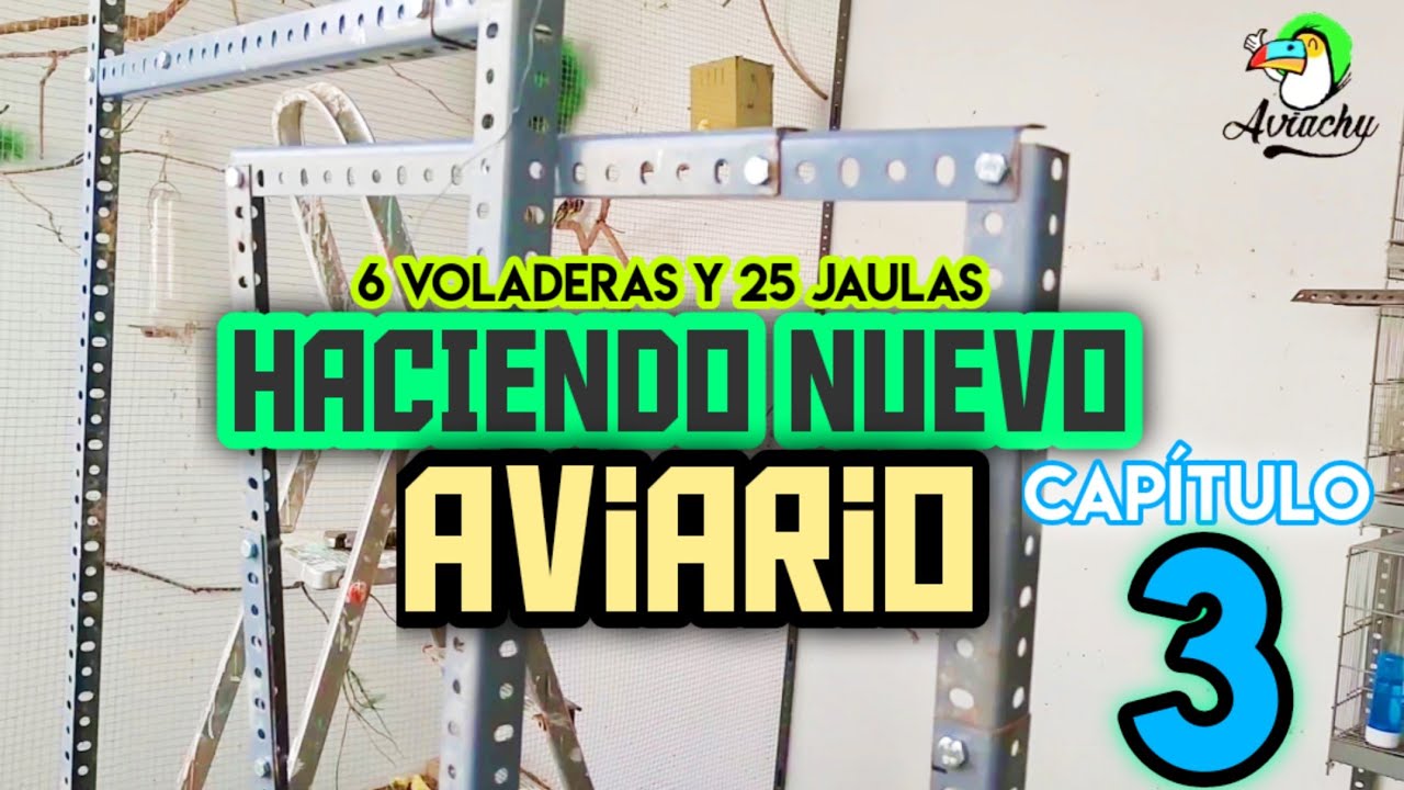 #3 HACIENDO NUEVO AVIARIO de 6 voladeras y 25 Jaulas