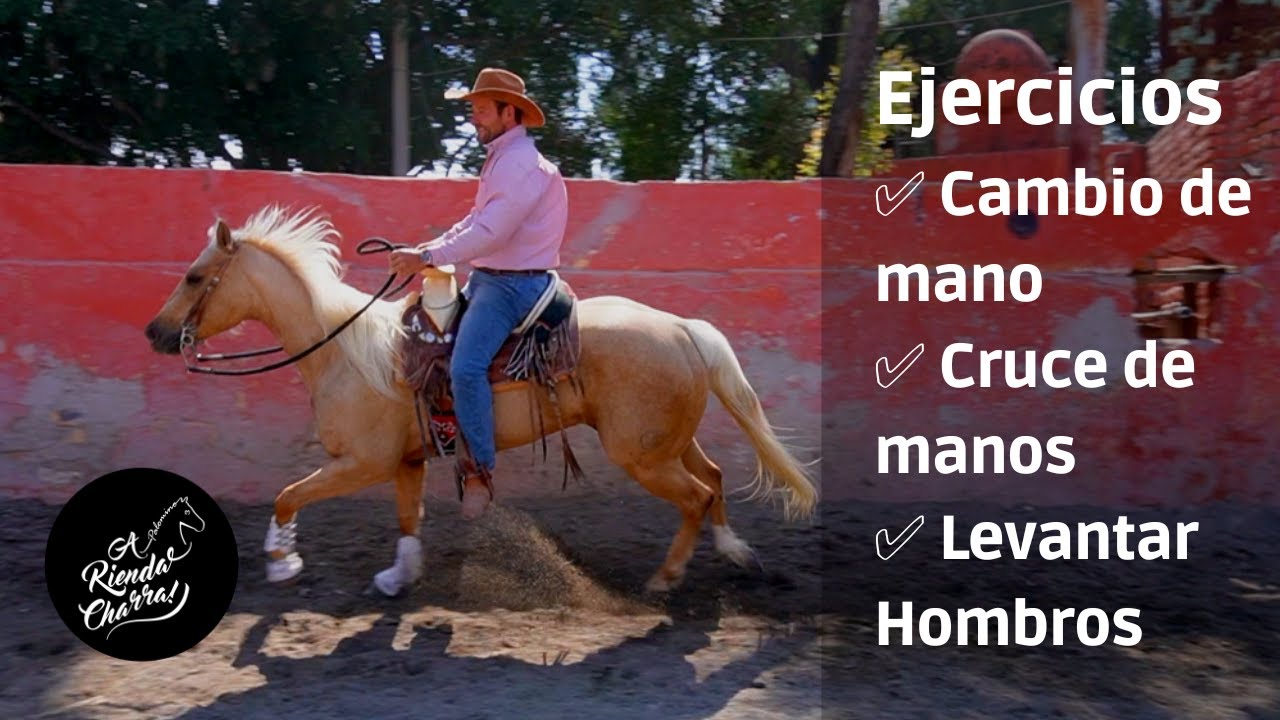 Como hacer que tu caballo haga el cambio de mano correctamente - A Rienda Charra - Palomino GM