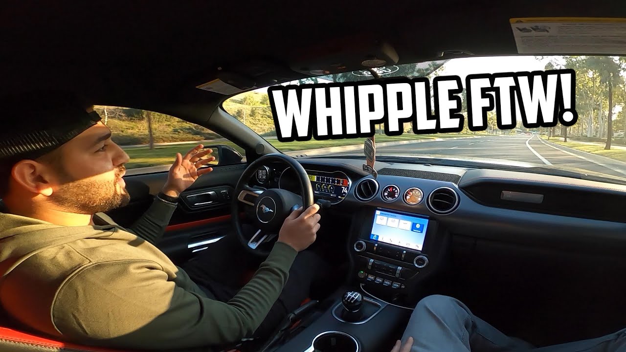 WHIPPLE SUPERCHARGED MUSTANG FIRST DRIVE REACTION! From a ProCharged Mustang Owner!