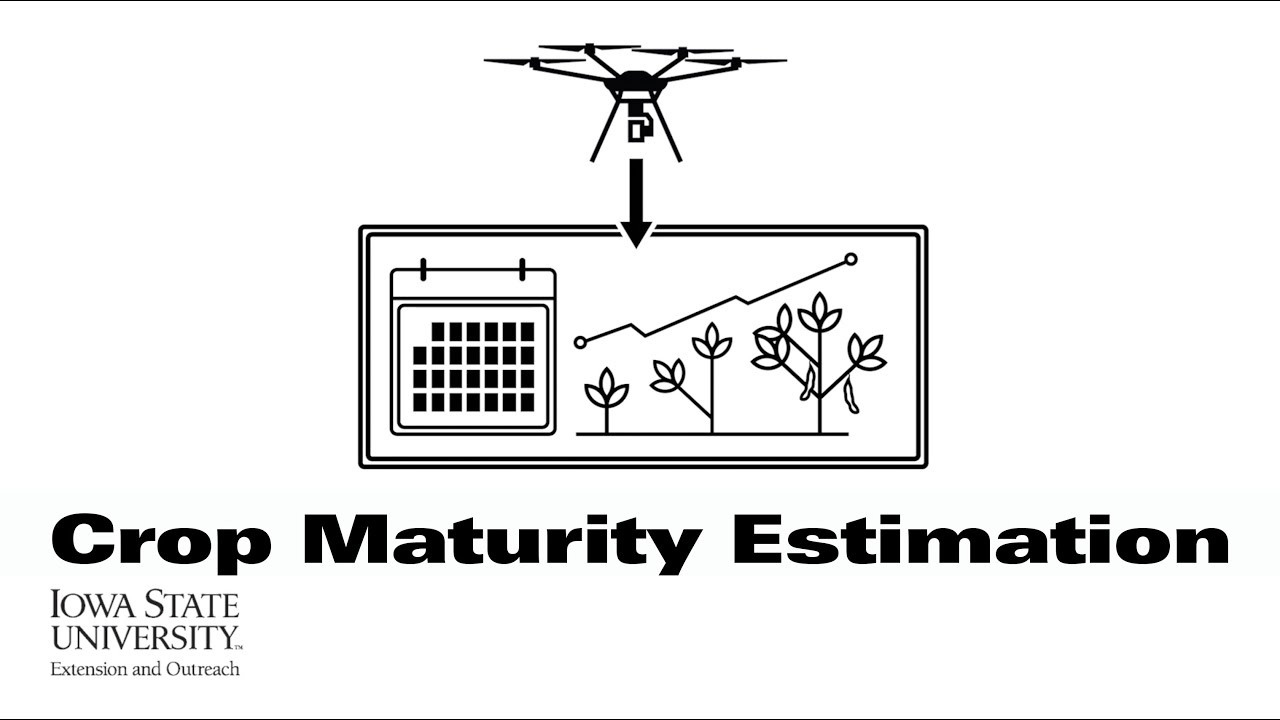 Soynomics: Crop Maturity Estimation | (When Scientists Team with Engineers)