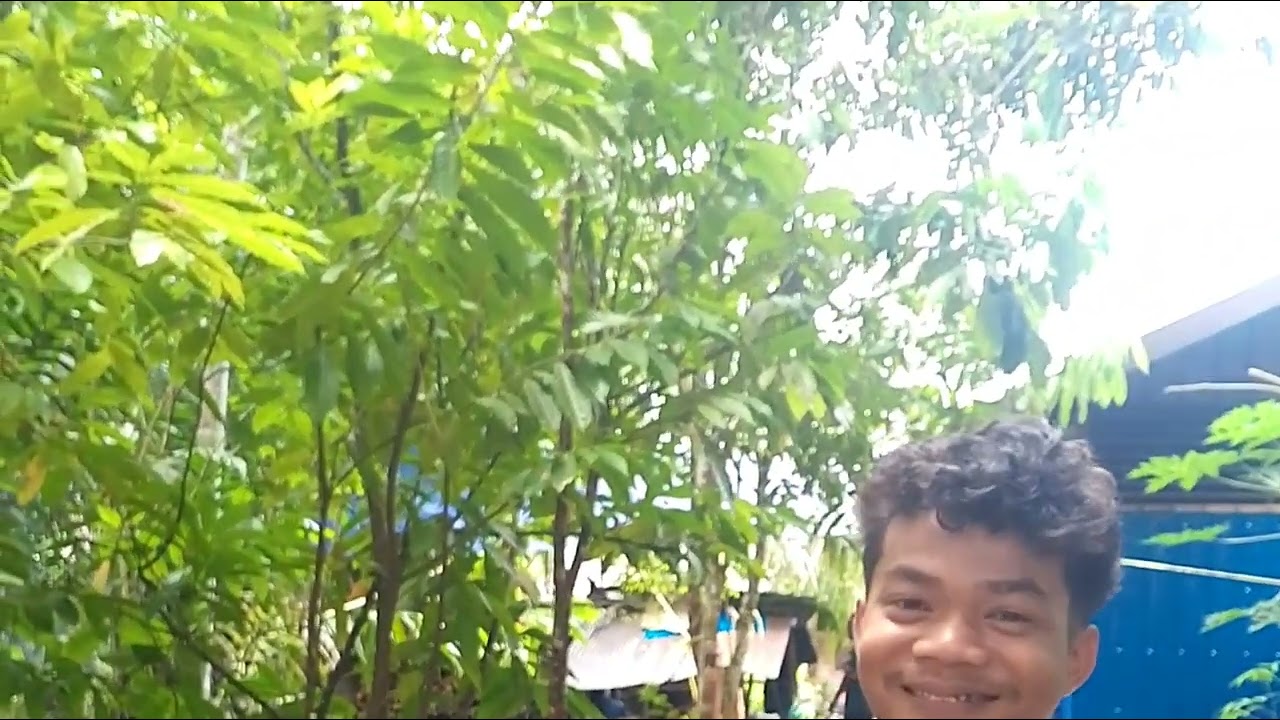 Karoke lagu rijoq vokal nedy