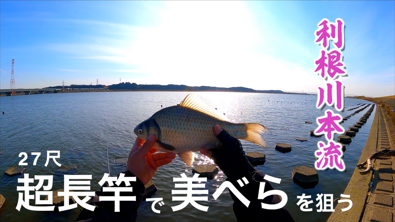 長竿とドボンでヘラブナを攻略する３０日間のストーリー