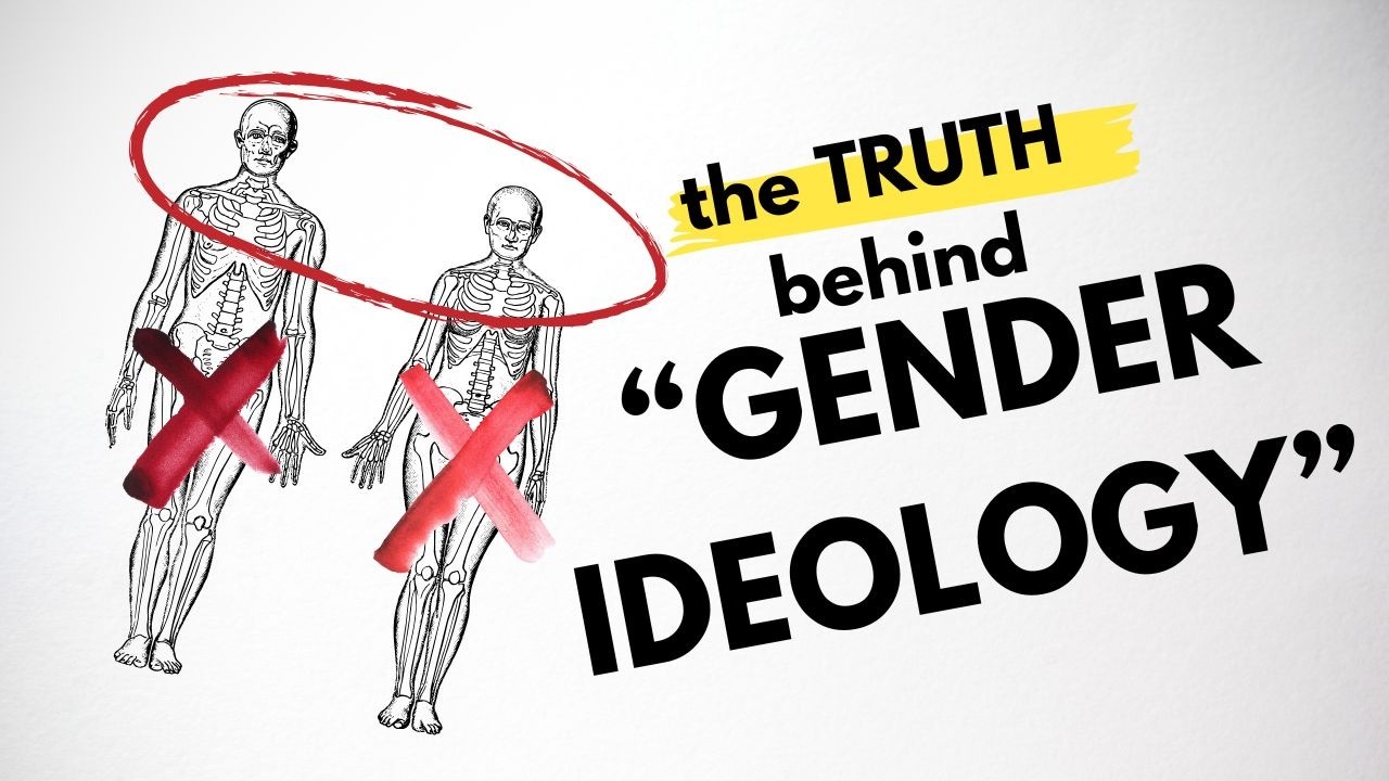 How Conservatives Invented Gender Ideology