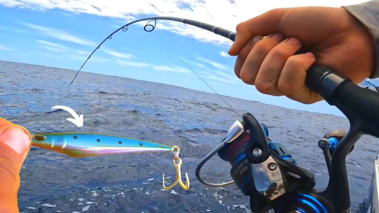 This NEW Lure Is CRAZY! (Moreton Bay Pelagics)