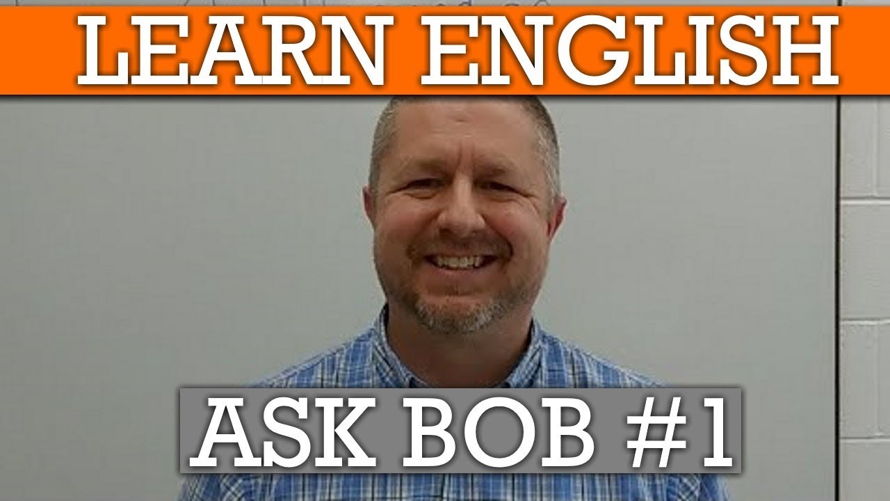 Livestream Questions And Answers About Bob To Help You Learn English