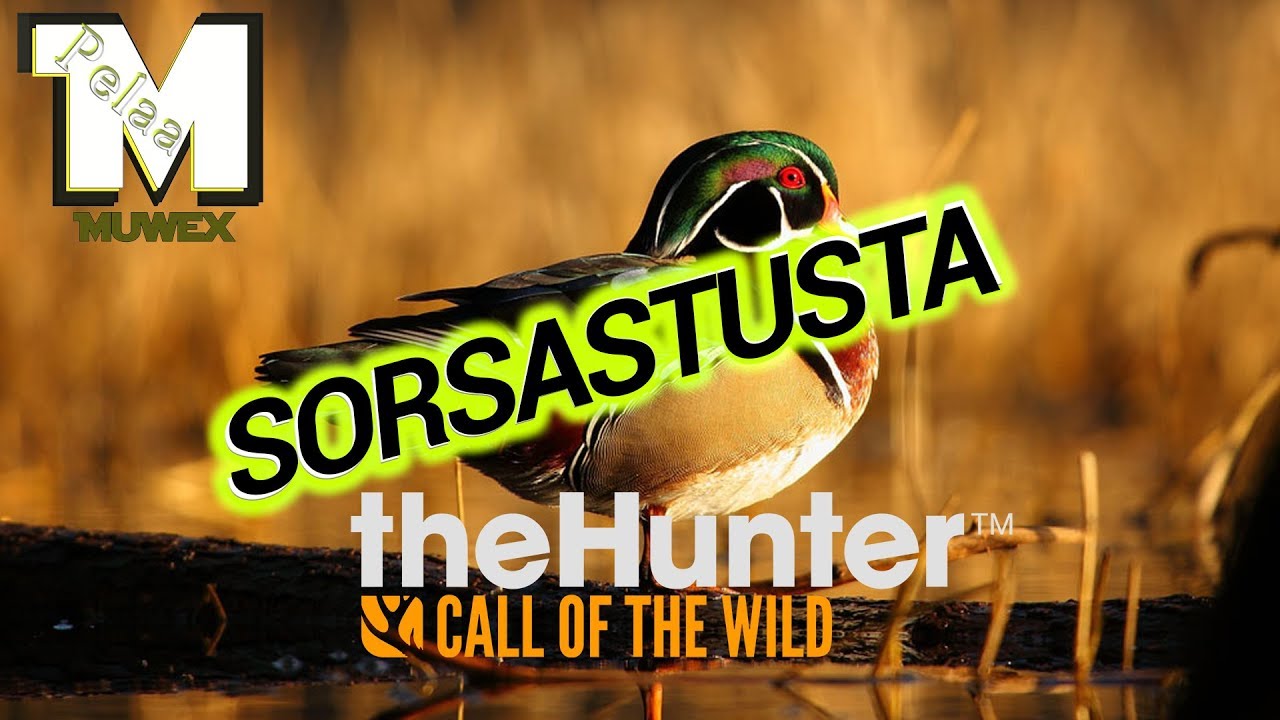 theHunter&trade;: Call of the Wild - Paljon toivottua SORSASTUSTA