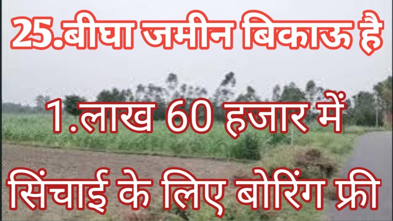 1.लाख 60 हजार रुपया प्रति बीघा बिकाऊ है रोड से लगी टोटल जमीन 25 बीघा है agriculture land for sale