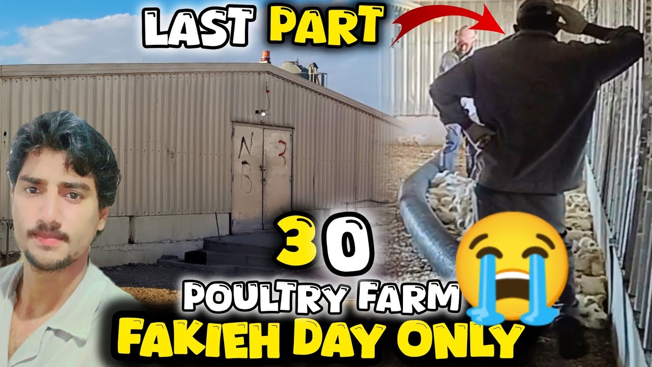 POULTRY FARM 🐓 FAKIEH DAY ONLY 30 LAST PART 😭 HUSNAIN BHAI FAKIEH VLOG 😱 24/12/2024 SAUDI ARABIA 🇸🇦