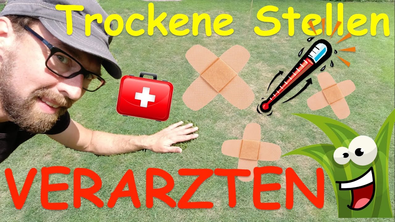 GG Pflege- Trockene braune kahle Stellen u Flecken im Rasen / Gras effektiv u langfristig behandeln!