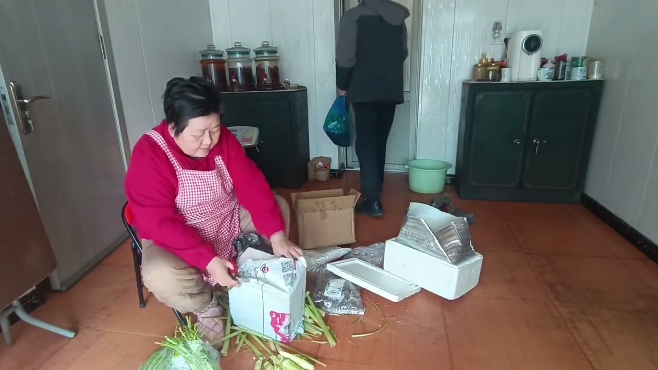 江苏无锡人在辽宁辽阳大山里的农家小院猫冬，网购了南方蔬菜