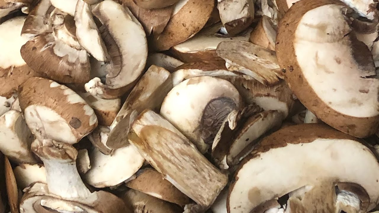 Mushroom Wine