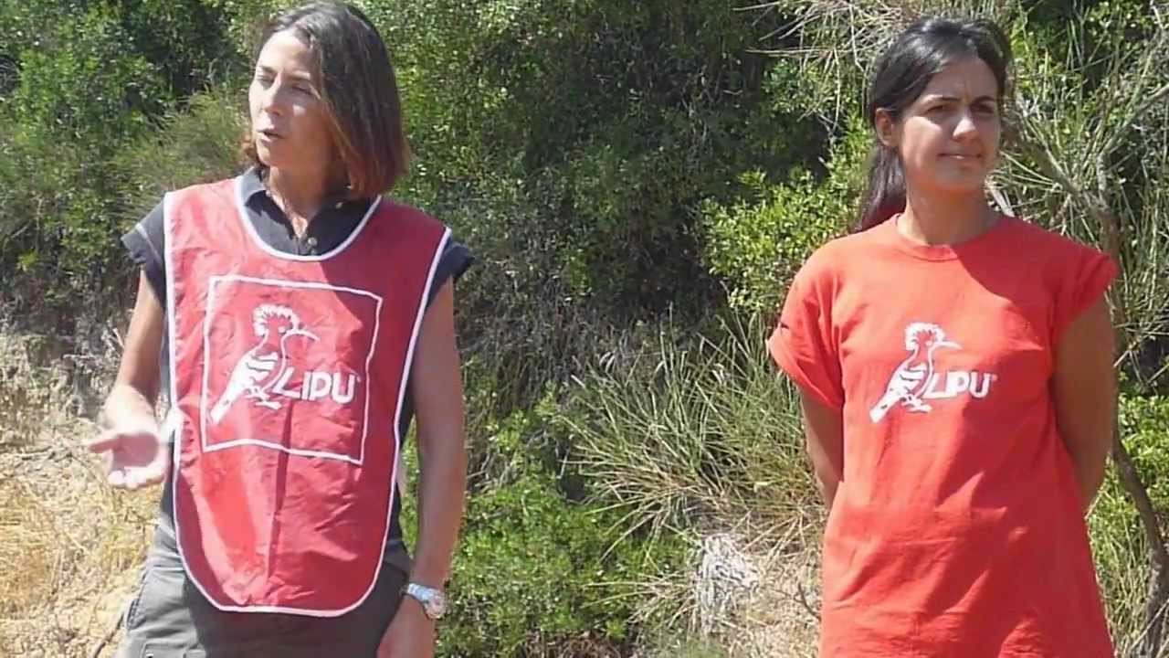 Liberazione di un gheppio nell'Oasi di Castel di Guido (Roma)