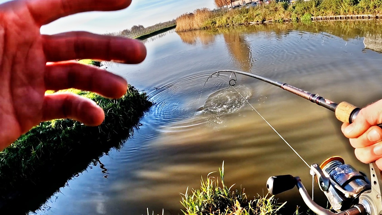 Change of Plans (Doodaas onder de Dobber #47)