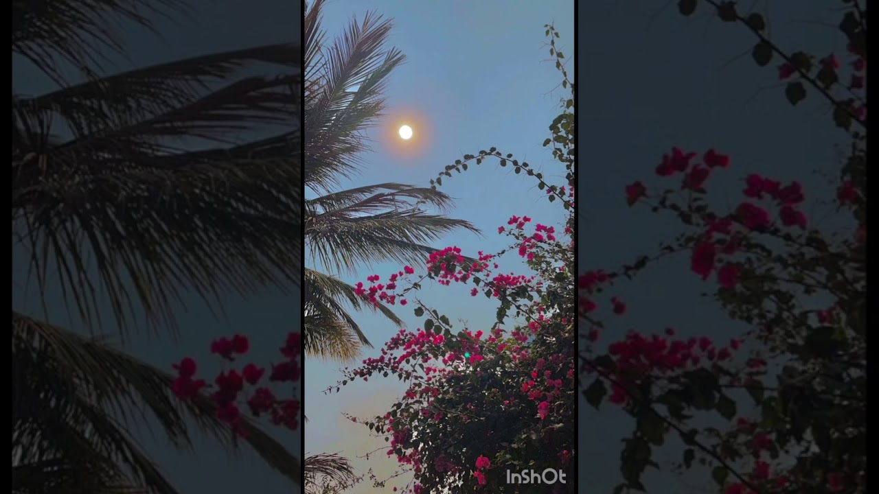 Meditación Guiada #20 |Acción que transforma