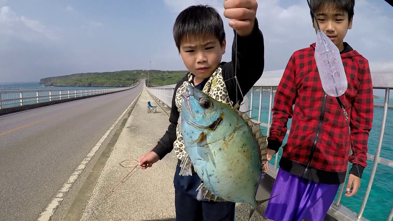 【七舞海TV 】大漁！橋の上からファミリーフィッシング！＊宮古島来間大橋＊