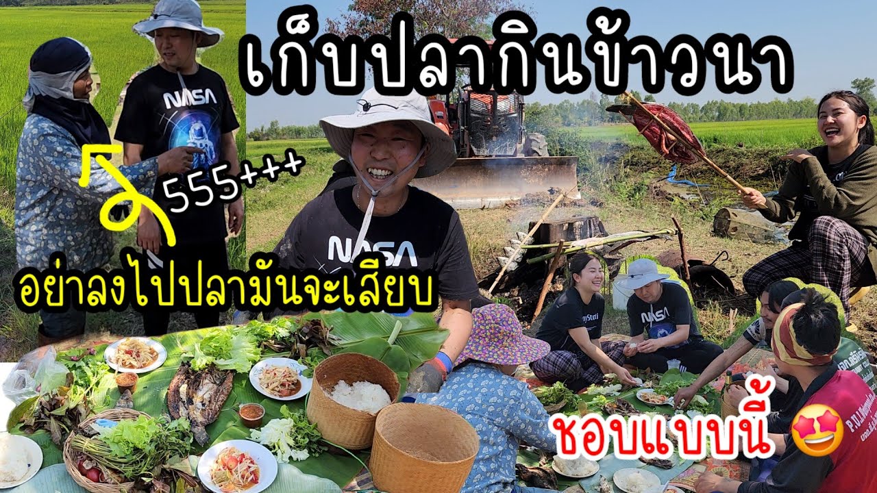 EP.847 เก็บปลาสนุกมากแล้วทำกินตรงนั้นเลย พี่ชินอยากเก็บปลามากแม่ร้อยห้ามก็ไม่ฟัง😁