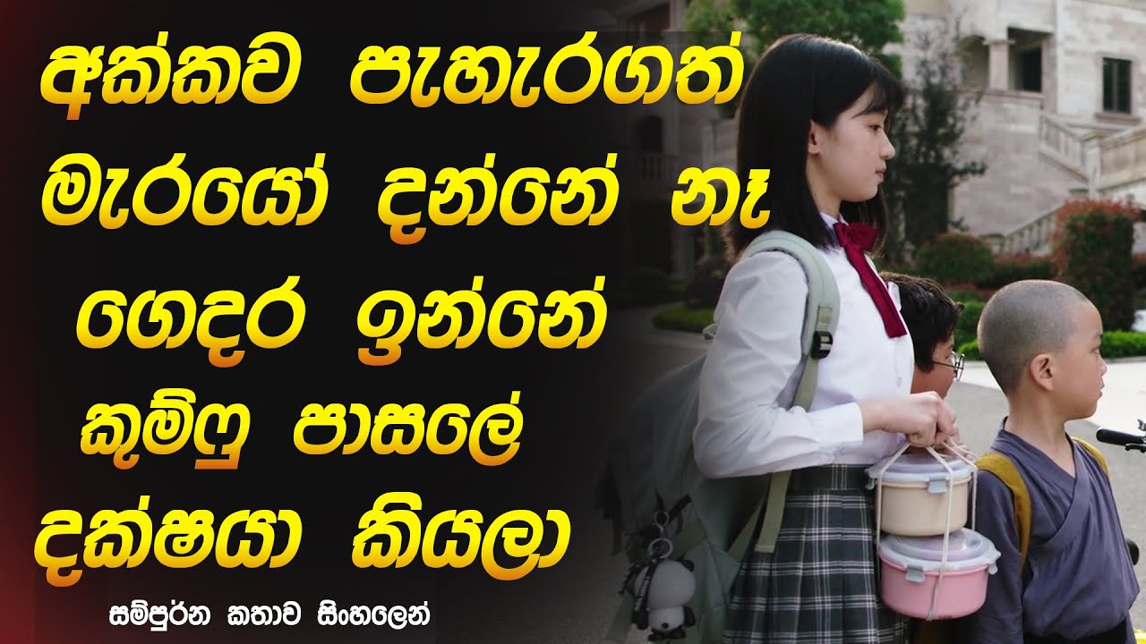 අක්කව පැහැරගත් මැරයෝ දන්නේ නෑ ගෙදර ඉන්නේ කුම්ෆු පාසලේ දක්ෂයා කියලා|The Shaolin Boy 2021 sinhala 