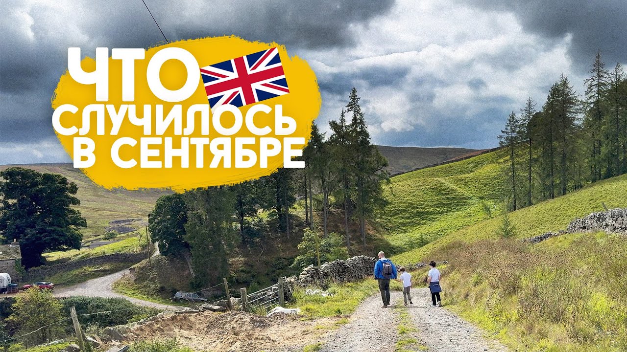 Грибы, ягоды, домашние питомцы и прочие события сентября