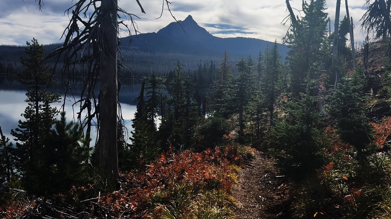 (4K UHD) FULL HIKE - Patjens Lake Trail (Big Lake Shoreline Zone) | Mount Washington | Willamette NF