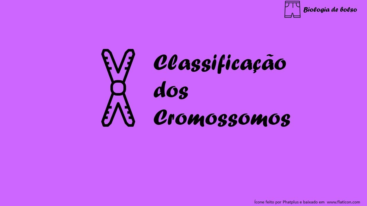 Classifica&ccedil;&atilde;o dos Cromossomos