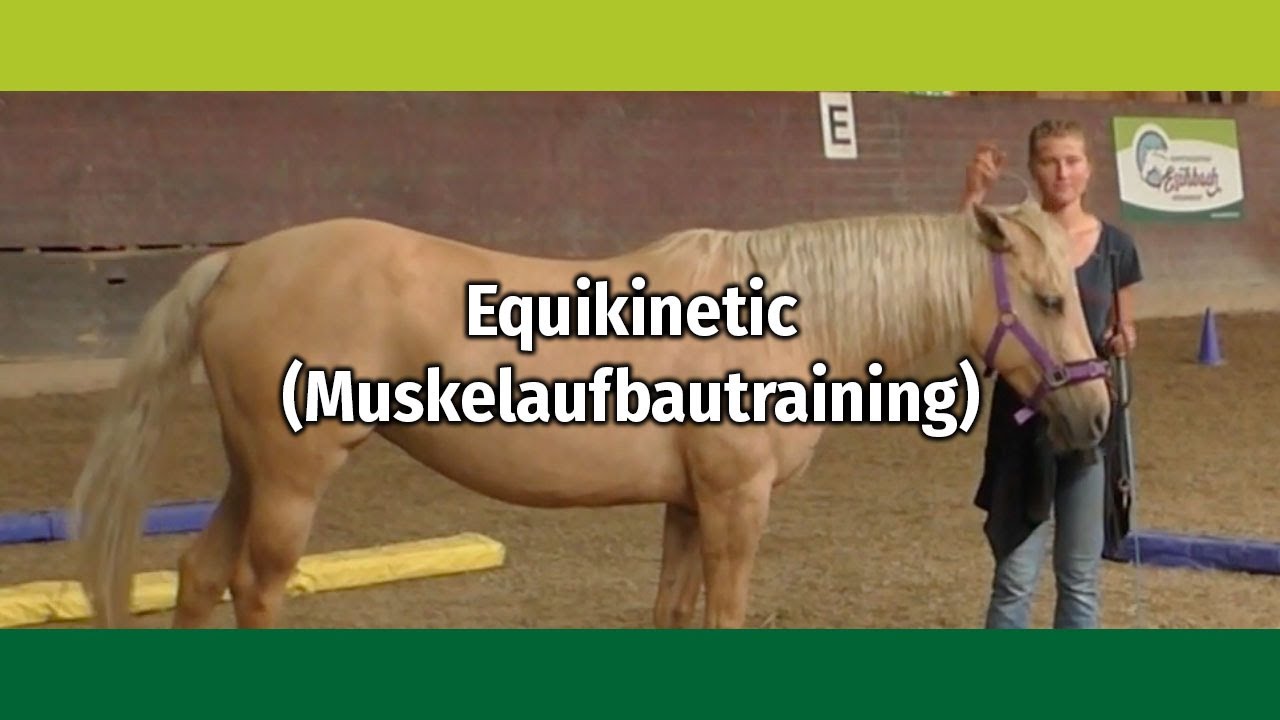Equikinetic (Muskelaufbautraining) Basiserklärungen mit Andrea Eschbach-Kindler