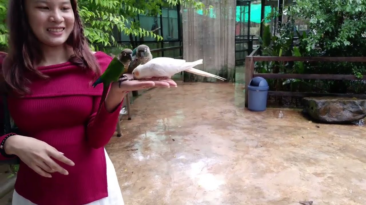 Relaxing and Enjoying with Animals & Nature 🌿 | Coco Farm Cambodia