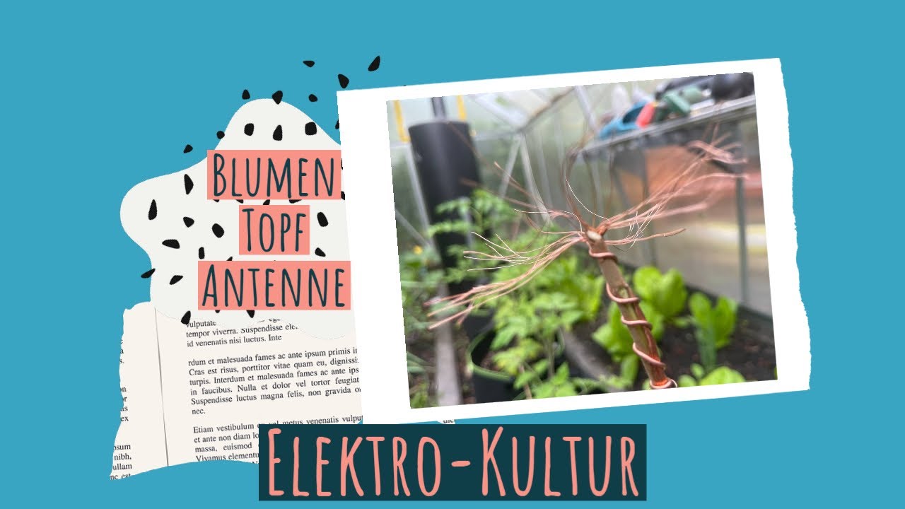 Mit der Blumentopfantenne gesunde Pflanzen! So einfach geht es!