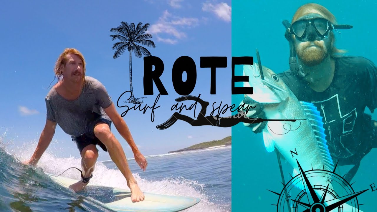 11 /  Shore diving dream! Big Job fish and crayfish. Also, Is this the best longboard wave in Rote?