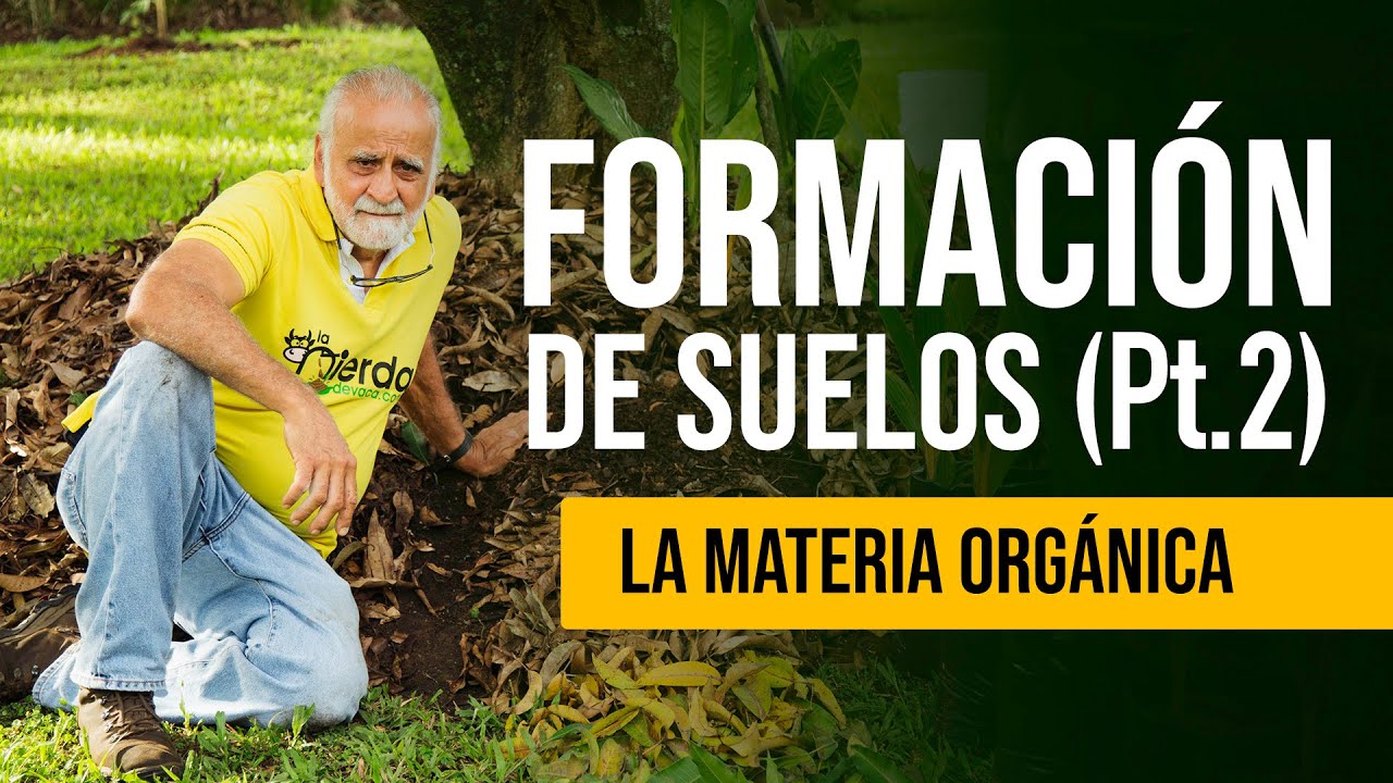 FORMACI&Oacute;N DE SUELOS Pt. 2 🌿 (La importancia de la Materia Org&aacute;nica) | Jairo Restrepo 🐮🥬