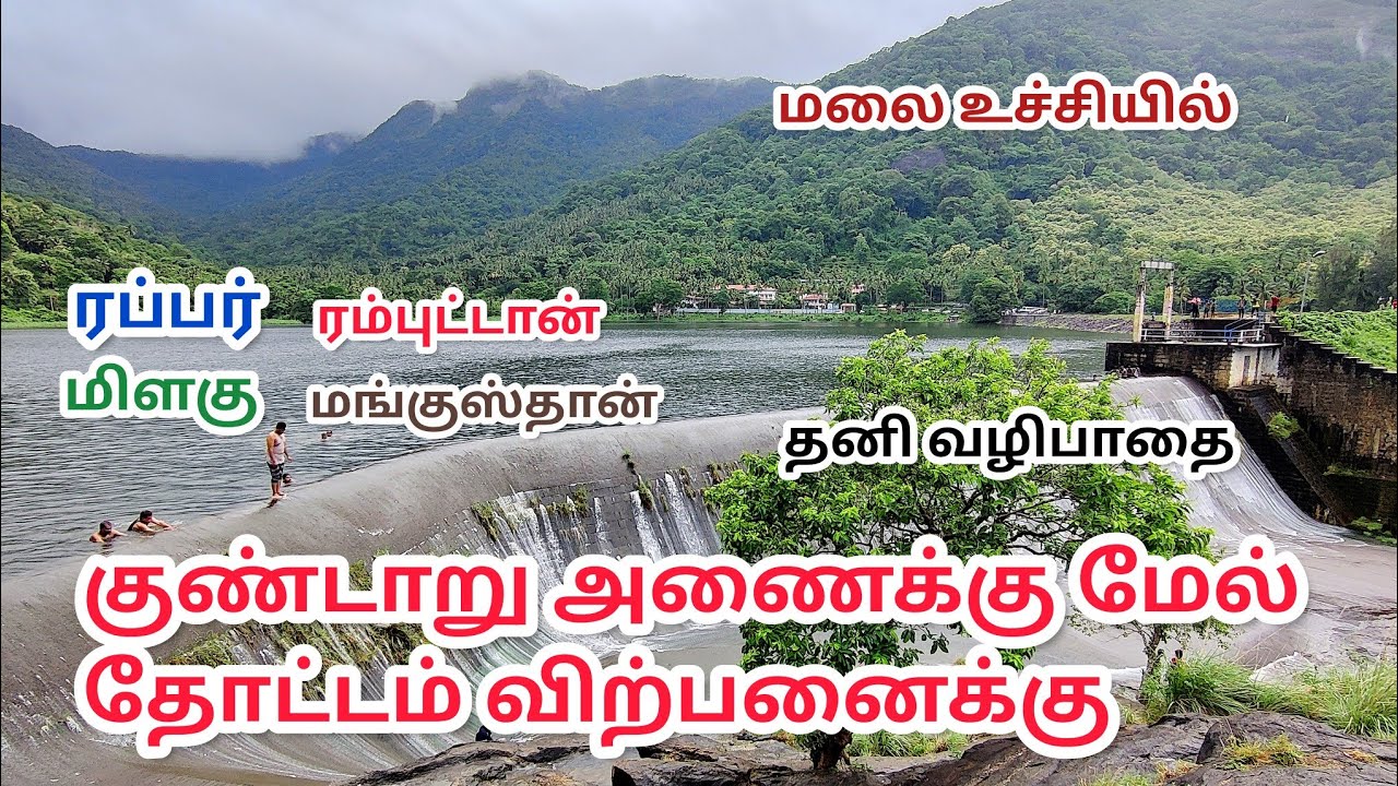 குண்டாறு அணையின் மேல் பகுதியில் 15 ஏக்கர் தோட்டம் விற்பனைக்கு ரப்பர் மிளகு ரம்புட்டான் இஞ்சி தேக்கு