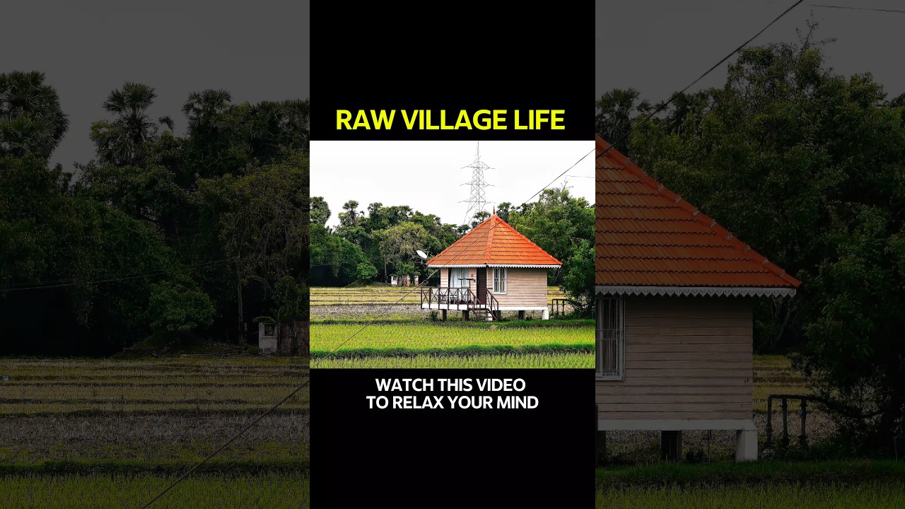 Peaceful Village Life | Pure Nature & Calm 