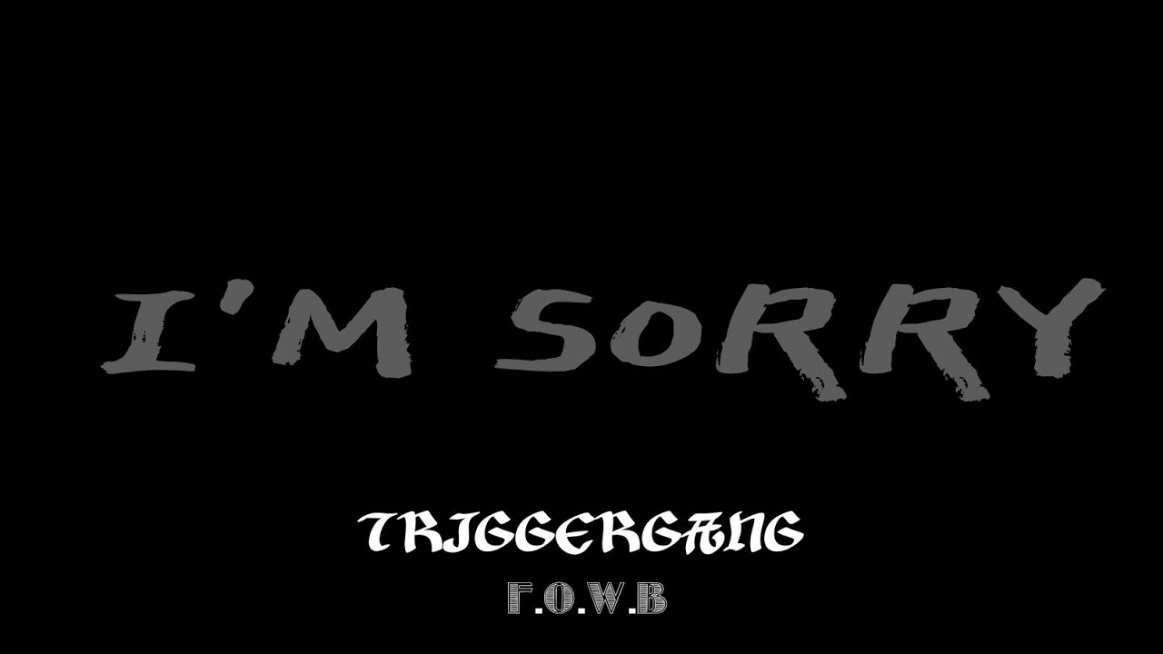 I'm Sorry (For you) - TRIGGERGANG | Official Video 