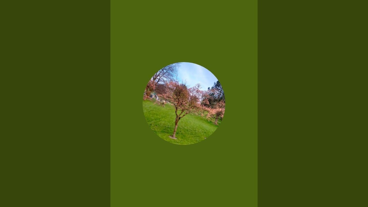 dream view sites is live tea garden 🏡🏡🏡🏡